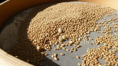 Hình ảnh minh họa try - Ảnh 1