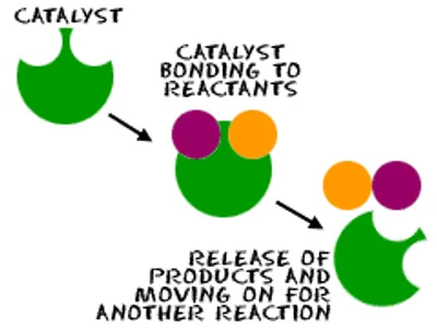 Illustration catalyst - Image 2