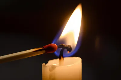 Illustration alight - Image 1