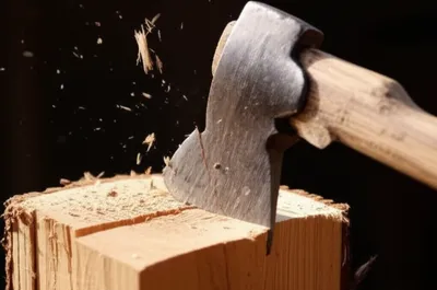 Illustration clove - Image 1