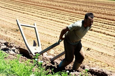 Illustration toils - Image 1