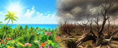 Illustration bipolar - Image 1