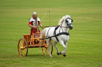 Illustration car - Image 1