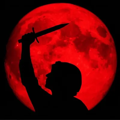 Hình ảnh minh họa doth - Ảnh 1