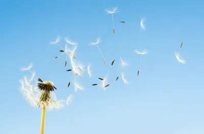 Illustration breath - Image 1