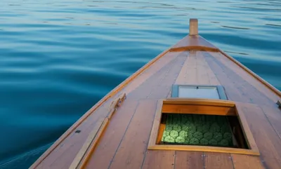 Illustration pea - Image 1