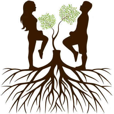 Illustration wedding - Image 1