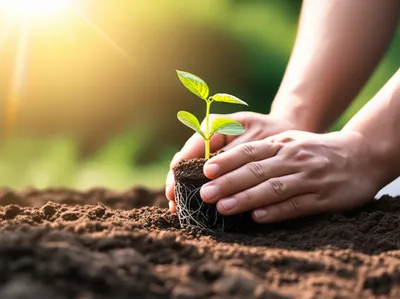 Illustration accomplishing - Image 1