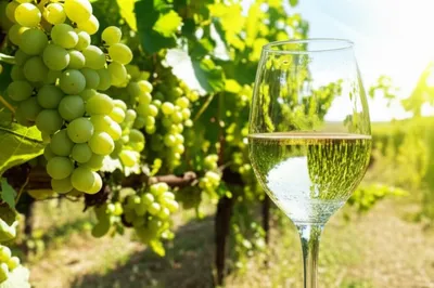 Illustration crisp - Image 1