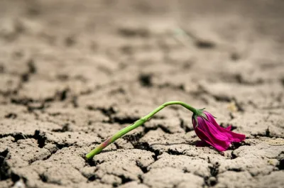 Illustration dropping - Image 1