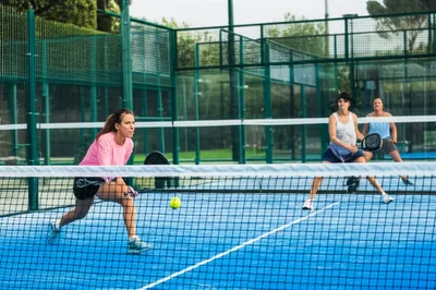 Hình ảnh minh họa paddles - Ảnh 1