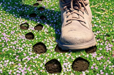 Illustration clamping - Image 1