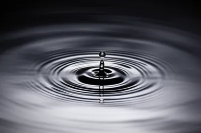 Illustration border - Image 1