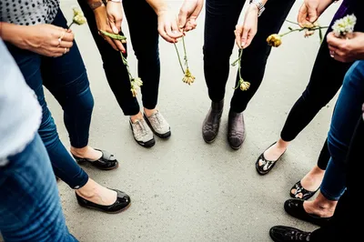 Illustration pettinesses - Image 1