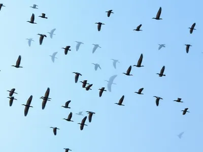 Illustration notions - Image 1