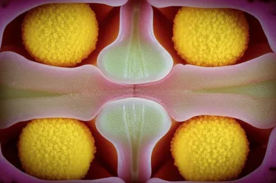 Illustration connective - Image 1