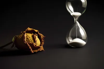 Illustration expired - Image 1