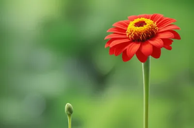 Illustration metas - Image 1