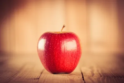 Illustration focus - Image 1