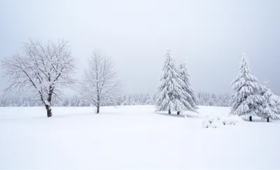 Illustration whiter - Image 1