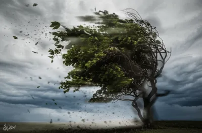 Illustration gust - Image 1