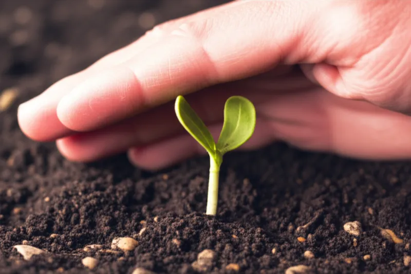 Illustration visuelle du mot « ensuring » - Garantir, assurer