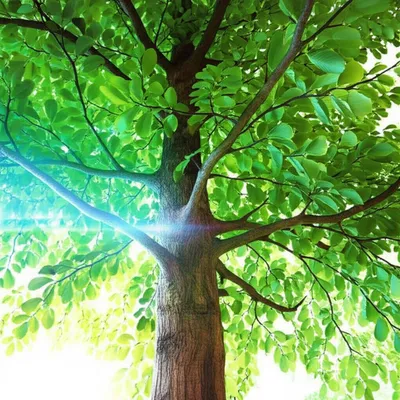 Illustration doctoring - Image 1