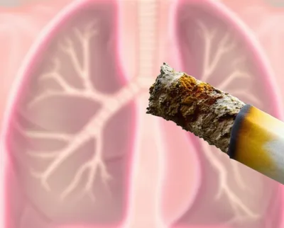 Illustration tar - Image 1