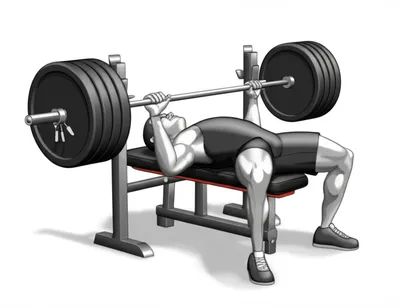 Illustration bench - Image 1