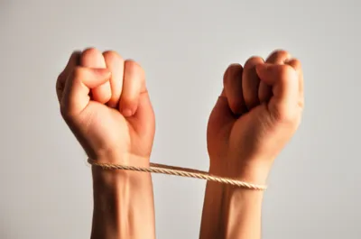 Illustration pinioned - Image 1