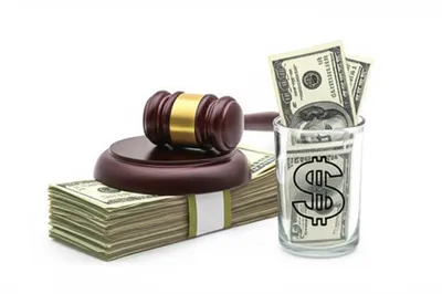 Illustration garnishee - Image 1