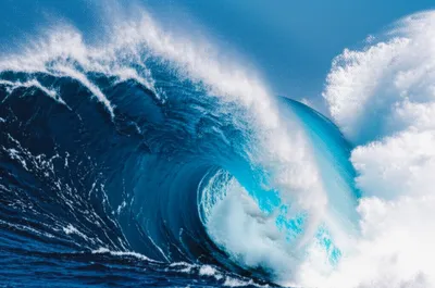 Illustration combing - Image 1