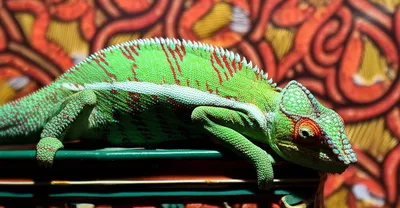 Illustration feigned - Image 1