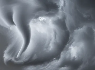 Illustration recurved - Image 1