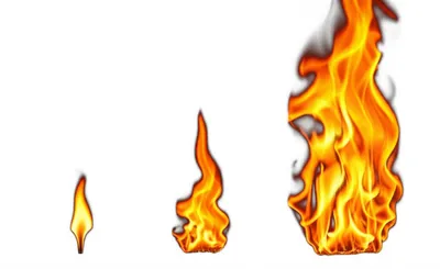 Illustration still - Image 1