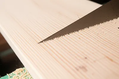 Hình ảnh minh họa rip - Ảnh 1