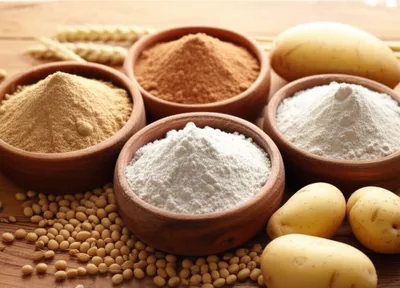 Illustration flours - Image 1