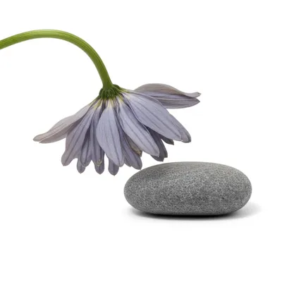 Illustration costs - Image 1