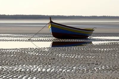 Illustration receded - Image 1