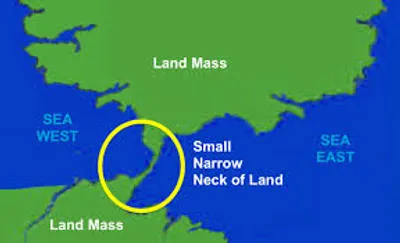 Illustration neck - Image 2