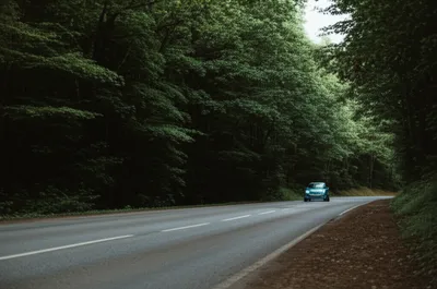 Illustration skirts - Image 1