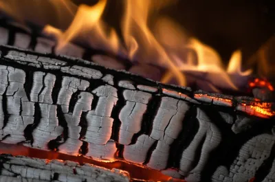 Illustration charred - Image 1