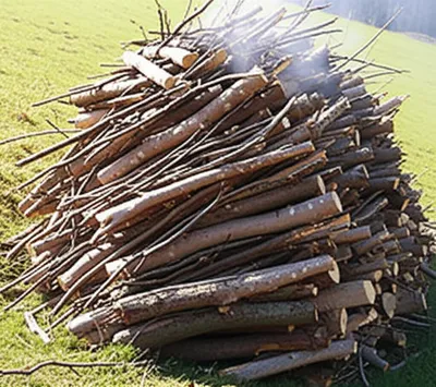 Illustration pyre - Image 1