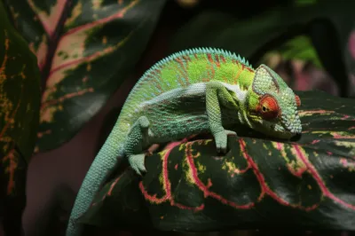 Illustration masking - Image 1