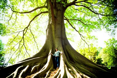 Illustration occupation - Image 1