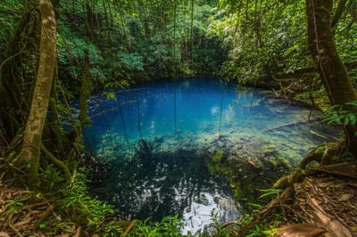 Hình ảnh minh họa lum - Ảnh 1