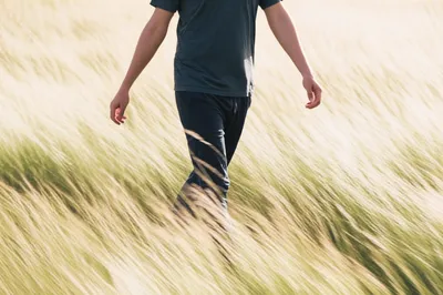 Illustration breeze - Image 1