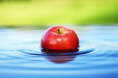 Illustration bobbing - Image 1