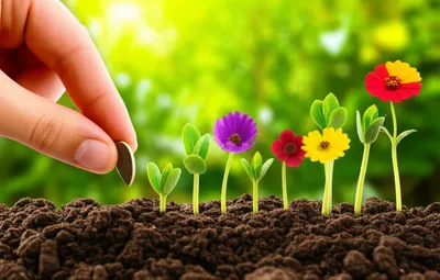 Illustration multiplying - Image 1