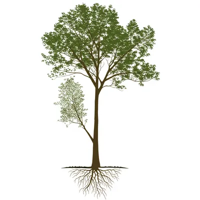 Illustration fork - Image 1